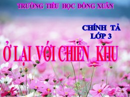 Bài giảng Tiếng Việt Khối 3 - Tuần 20, Bài: Ở lại với chiến khu - Năm học 2021-2022