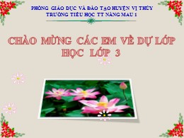 Bài giảng Tiếng Việt Lớp 3 - Tuần 11: Nghe viết: Tiếng hò trên sông - Năm học 2021-2022 - Trường Tiểu học TT Nàng Mau 1