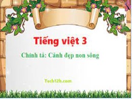 Bài giảng Tiếng Việt Lớp 3 - Tuần 12, Bài: Cả
