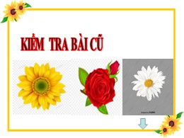 Bài giảng Đạo đức Lớp 3 - Bài: Biết ơn các th