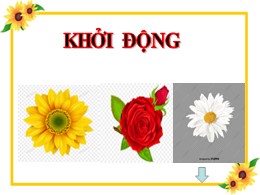 Bài giảng Đạo đức Lớp 3 - Bài: Biết ơn thương binh, liệt sĩ - Năm học 2021-2022