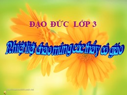 Bài giảng Đạo đức Lớp 3 - Tiết 16: Biết ơn cá