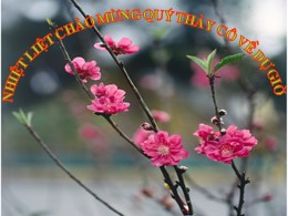 Bài giảng Đạo đức Lớp 3 - Tiết 17: Biết ơn cá