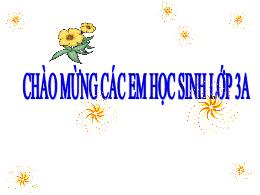 Bài giảng Luyện từ và câu Lớp 3 - Tiết 29: Từ