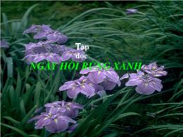 Bài giảng Tập đọc Lớp 3 - Tuần 25: Ngày hội r