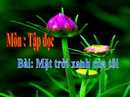 Bài giảng Tập đọc Lớp 3 - Tuần 33 - Bài: Mặt 