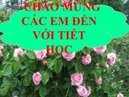 Bài giảng Toán Lớp 3 - Tiết 111+112: Thực hàn