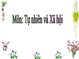 Bài giảng Tự nhiên và Xã hội Khối 3 - Bài 42: