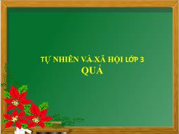 Bài giảng Tự nhiên và Xã hội Khối 3 - Bài 48: