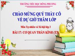 Bài giảng Tự nhiên và Xã hội Lớp 3 - Bài 17: