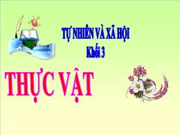 Bài giảng Tự nhiên và xã hội Lớp 3 - Bài 40: 