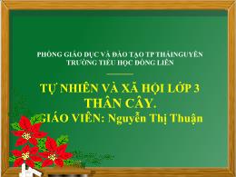 Bài giảng Tự nhiên và Xã hội Lớp 3 - Bài 41: 