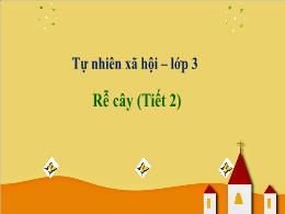 Bài giảng Tự nhiên và Xã hội Lớp 3 - Bài 43: 