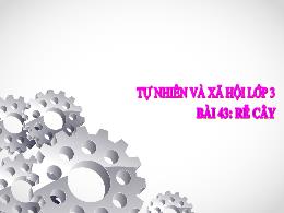 Bài giảng Tự nhiên và Xã hội Lớp 3 - Bài 43: 