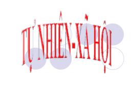 Bài giảng Tự nhiên và Xã hội Lớp 3 - Bài 46: 