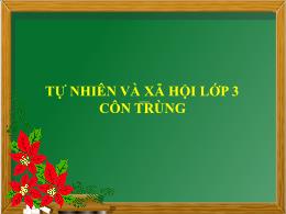 Bài giảng Tự nhiên và Xã hội Lớp 3 - Bài 50: 