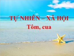 Bài giảng Tự nhiên và Xã hội Lớp 3 - Bài 51: 