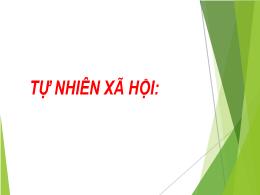 Bài giảng Tự nhiên và Xã hội Lớp 3 - Bài 53: 