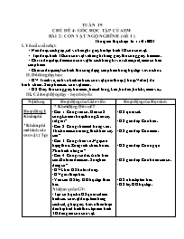 Giáo án Mĩ thuật Lớp 3 - Tuần 19 - Bài 2: Con