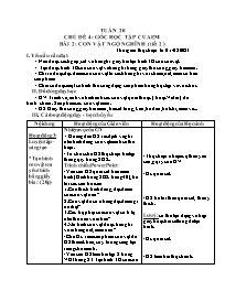 Giáo án Mĩ thuật Lớp 3 - Tuần 20 - Bài 2: Con