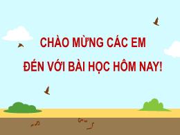 Bài giảng Tin học 3 (Kết nối tri thức) - Bài