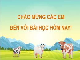 Bài giảng Tin học 3 (Kết nối tri thức) - Chủ