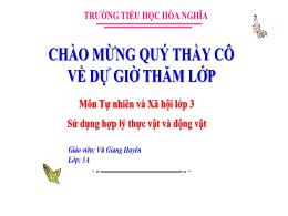Bài giảng Tự nhiên và Xã hội 3 (Kết nối tri t