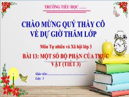 Bài giảng Tự nhiên xã hội 3 (Kết nối tri thức