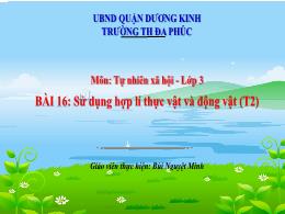Bài giảng Tự nhiên xã hội 3 (Kết nối tri thức