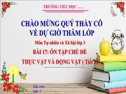 Bài giảng Tự nhiên xã hội 3 (Kết nối tri thức