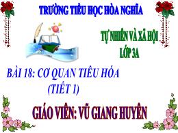 Bài giảng Tự nhiên xã hội 3 (Kết nối tri thức