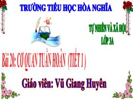 Bài giảng Tự nhiên xã hội 3 (Kết nối tri thức