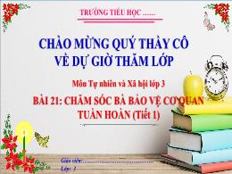 Bài giảng Tự nhiên xã hội 3 (Kết nối tri thức