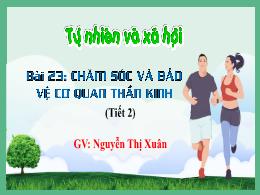 Bài giảng Tự nhiên xã hội 3 (Kết nối tri thức