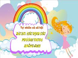 Bài giảng Tự nhiên xã hội 3 (Kết nối tri thức