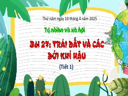 Bài giảng Tự nhiên xã hội 3 (Kết nối tri thức