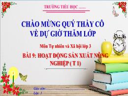 Bài giảng Tự nhiên xã hội 3 (Kết nối tri thức