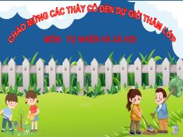 Bài giảng Tự nhiên xã hội 3 (Kết nối tri thức