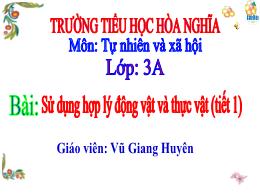 Bài giảng Tự nhiên xã hội 3 (Kết nối tri thức