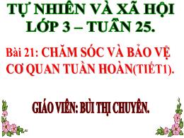 Bài giảng Tự nhiên xã hội 3 (Kết nối tri thức