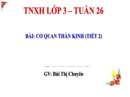 Bài giảng Tự nhiên xã hội 3 (Kết nối tri thức