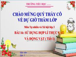 Bài giảng Tự nhiên xã hội Lớp 3 (Kết nối tri 