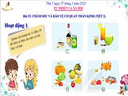 Bài giảng Tự nhiên xã hội 3 (Kết nối tri thức