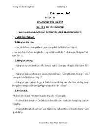 Giáo án Hoạt động trải nghiệm 3 - Tuần 11, Ch