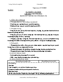 Giáo án Tự nhiên xã hội 3 - Tuần 9, Chủ đề 2: