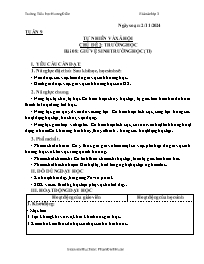 Giáo án Tự nhiên xã hội 3 - Tuần 9, Chủ đề 2: